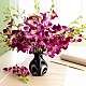Bouquet : Orchid Bouquet & Vase
