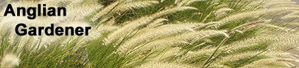 Back to Anglian Gardener home page