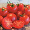 Want to grow the perfect tomatoes?