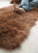Mongolian Rug - Plate