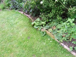 Branches and narrow trunks used as edging to a border