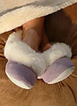 Sheepskin Ballerina Slipper £47.00 including VAT or US$72.08 excluding VAT