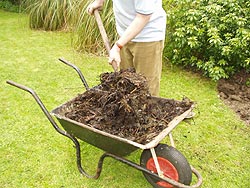 Aaah - compost - the stuff of life...