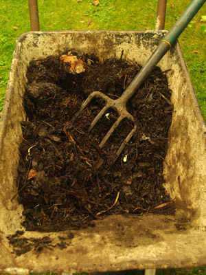 removing the turf